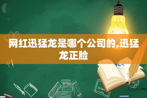 网红迅猛龙是哪个公司的,迅猛龙正脸