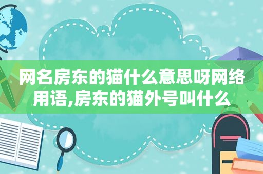 网名房东的猫什么意思呀网络用语,房东的猫外号叫什么