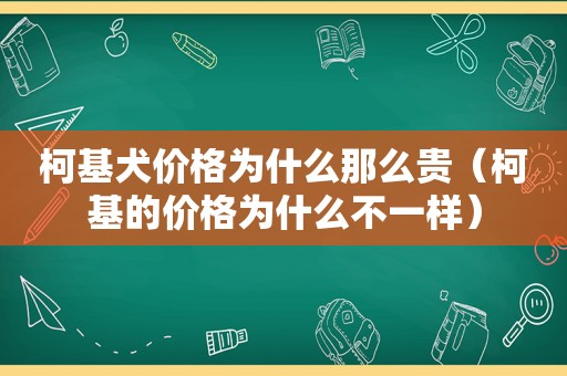 柯基犬价格为什么那么贵（柯基的价格为什么不一样）