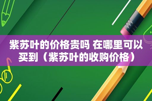 紫苏叶的价格贵吗 在哪里可以买到（紫苏叶的收购价格）