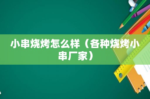 小串烧烤怎么样（各种烧烤小串厂家）