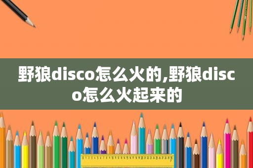 野狼disco怎么火的,野狼disco怎么火起来的