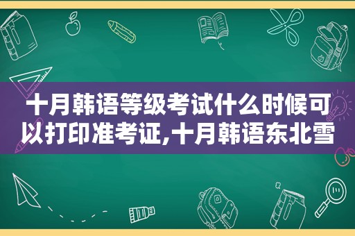 十月韩语等级考试什么时候可以打印准考证,十月韩语东北雪花米