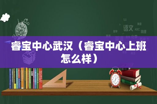 睿宝中心武汉（睿宝中心上班怎么样）