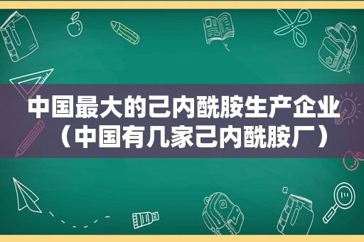 中国最大的己内酰胺生产企业（中国有几家己内酰胺厂）