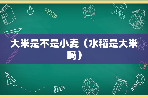 大米是不是小麦（水稻是大米吗）