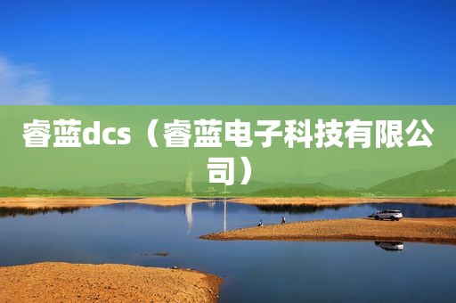 睿蓝dcs（睿蓝电子科技有限公司）