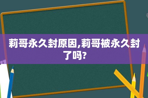 莉哥永久封原因,莉哥被永久封了吗?