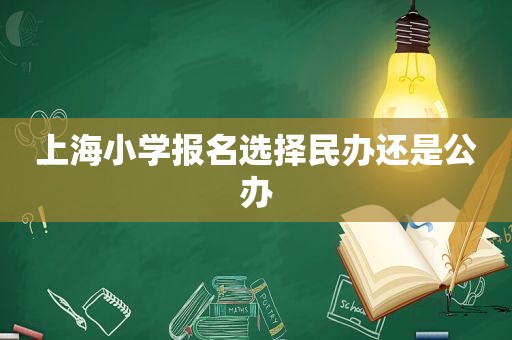 上海小学报名选 *** 办还是公办