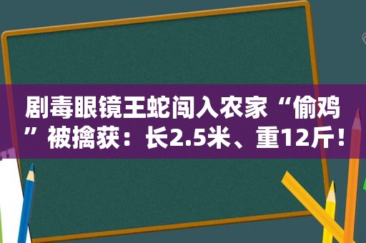 剧毒眼镜王蛇闯入农家“偷鸡”被擒获：长2.5米、重12斤！为何此地多蛇类活动？