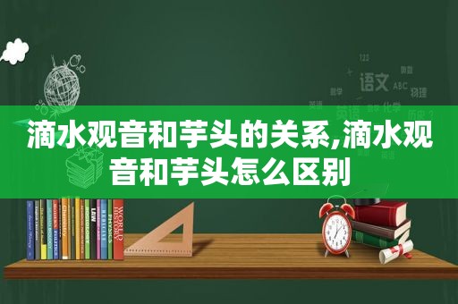 滴水观音和芋头的关系,滴水观音和芋头怎么区别