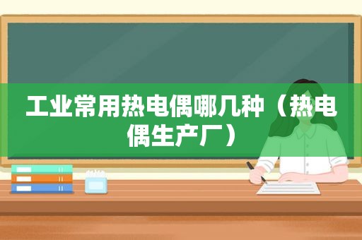 工业常用热电偶哪几种（热电偶生产厂）