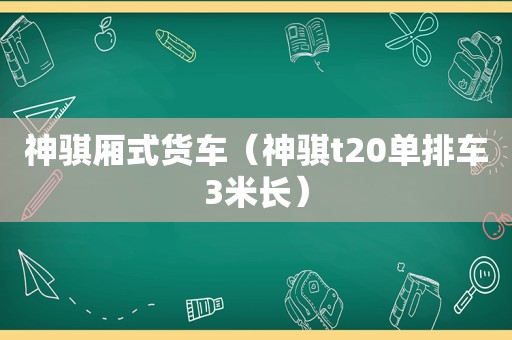 神骐厢式货车（神骐t20单排车3米长）