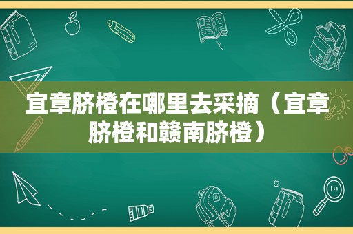 宜章脐橙在哪里去采摘（宜章脐橙和赣南脐橙）