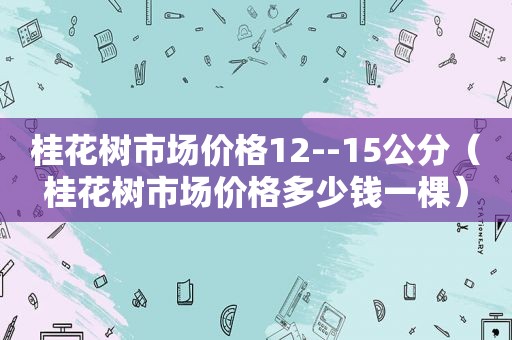 桂花树市场价格12--15公分（桂花树市场价格多少钱一棵）