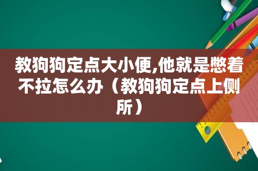 教狗狗定点大小便,他就是憋着不拉怎么办（教狗狗定点上侧所）