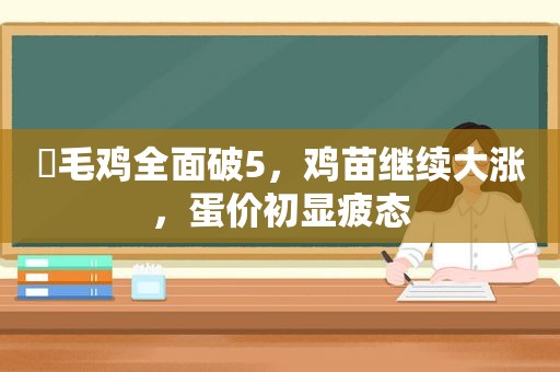 ​毛鸡全面破5，鸡苗继续大涨，蛋价初显疲态