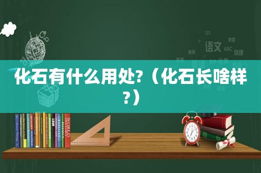 化石有什么用处?（化石长啥样?）