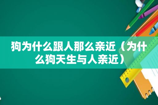 狗为什么跟人那么亲近（为什么狗天生与人亲近）