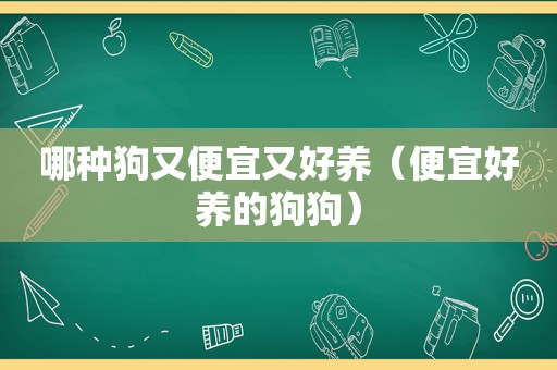 哪种狗又便宜又好养（便宜好养的狗狗）