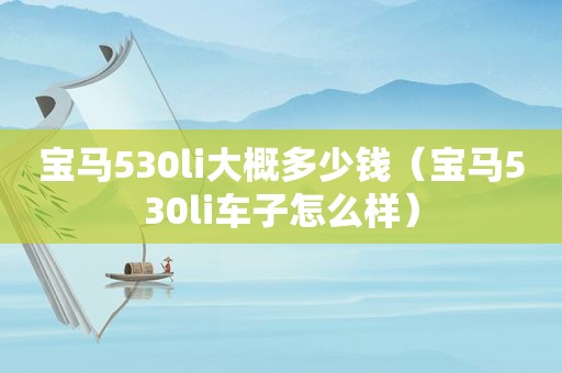 宝马530li大概多少钱（宝马530li车子怎么样）