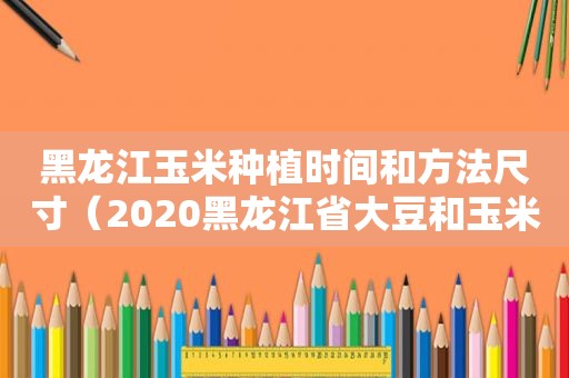 黑龙江玉米种植时间和方法尺寸（2020黑龙江省大豆和玉米补贴最新消息）