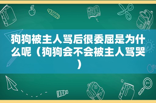 狗狗被主人骂后很委屈是为什么呢（狗狗会不会被主人骂哭）