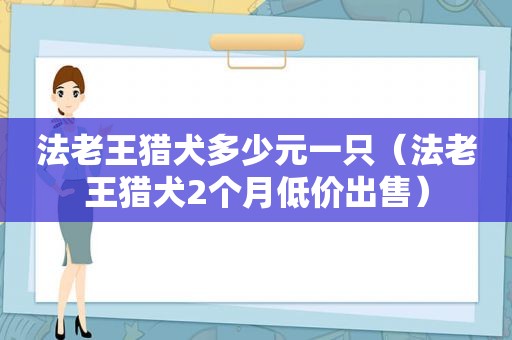 法老王猎犬多少元一只（法老王猎犬2个月低价出售）