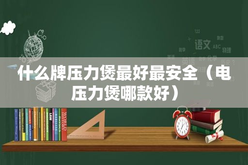 什么牌压力煲最好最安全（电压力煲哪款好）