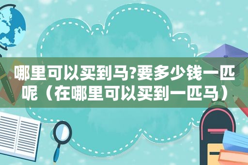 哪里可以买到马?要多少钱一匹呢（在哪里可以买到一匹马）