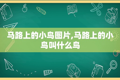 马路上的小鸟图片,马路上的小鸟叫什么鸟