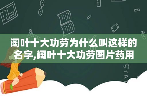 阔叶十大功劳为什么叫这样的名字,阔叶十大功劳图片药用