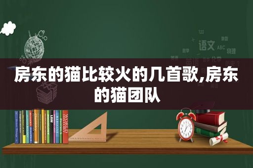 房东的猫比较火的几首歌,房东的猫团队