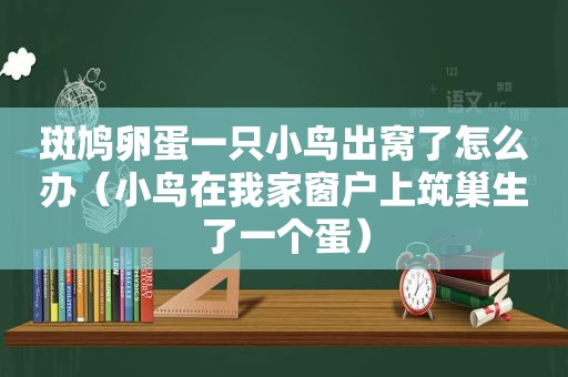 斑鸠卵蛋一只小鸟出窝了怎么办（小鸟在我家窗户上筑巢生了一个蛋）