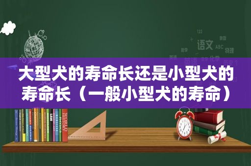 大型犬的寿命长还是小型犬的寿命长（一般小型犬的寿命）