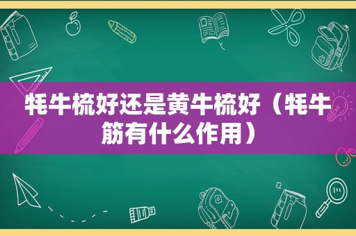 牦牛梳好还是黄牛梳好（牦牛筋有什么作用）