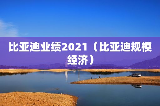 比亚迪业绩2021（比亚迪规模经济）