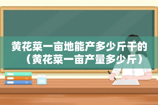 黄花菜一亩地能产多少斤干的（黄花菜一亩产量多少斤）