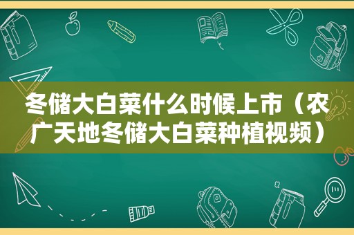 冬储大白菜什么时候上市（农广天地冬储大白菜种植视频）