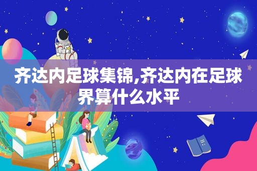 齐达内足球集锦,齐达内在足球界算什么水平