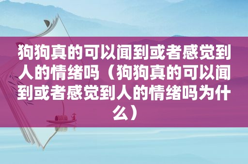 狗狗真的可以闻到或者感觉到人的情绪吗（狗狗真的可以闻到或者感觉到人的情绪吗为什么）