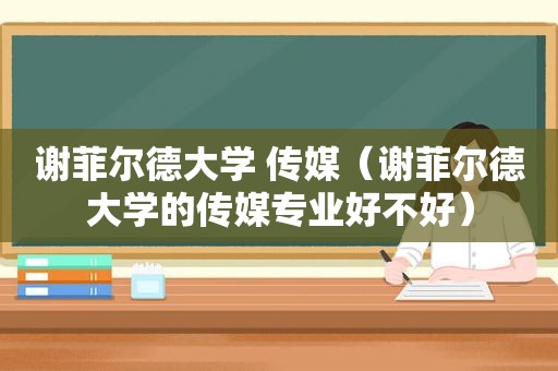 谢菲尔德大学 传媒（谢菲尔德大学的传媒专业好不好）