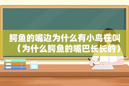 鳄鱼的嘴边为什么有小鸟在叫（为什么鳄鱼的嘴巴长长的）