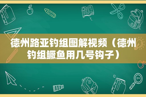 德州路亚钓组图解视频（德州钓组鳜鱼用几号钩子）