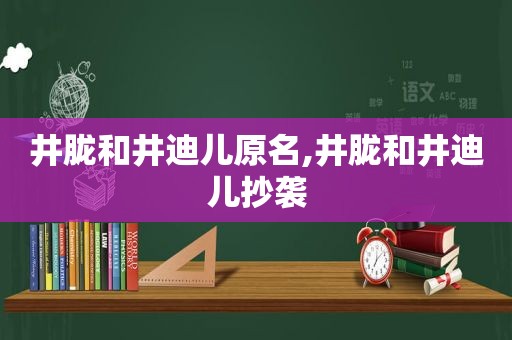 井胧和井迪儿原名,井胧和井迪儿抄袭