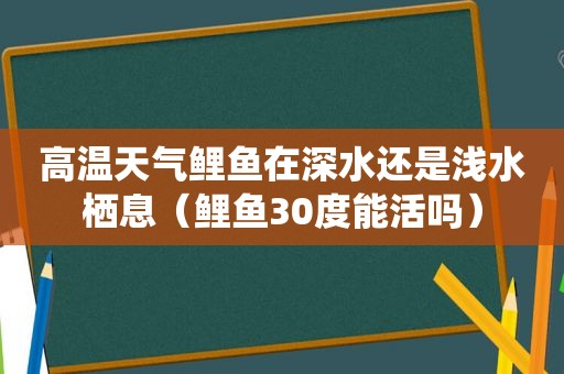 高温天气鲤鱼在深水还是浅水栖息（鲤鱼30度能活吗）