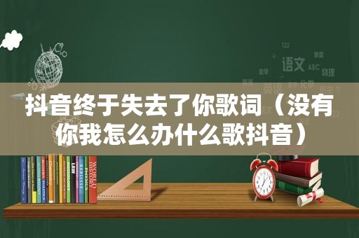 抖音终于失去了你歌词（没有你我怎么办什么歌抖音）