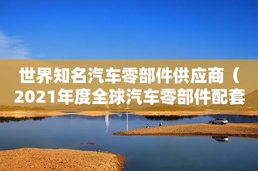 世界知名汽车零部件供应商（2021年度全球汽车零部件配套供应商百强榜）