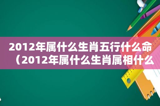 2012年属什么生肖五行什么命（2012年属什么生肖属相什么命）