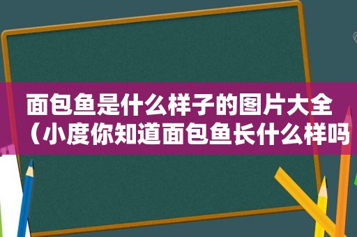 面包鱼是什么样子的图片大全（小度你知道面包鱼长什么样吗）